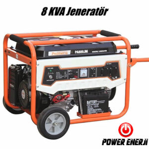 8 KVA Palmera Benzinli Jeneratör Fiyatı Marşlı (220v) (PA800)
