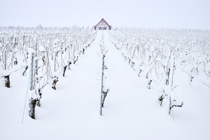 1000 watt güneş paneli ne çalıştırır?