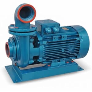 3 Hp Santrifuj Pompa 7m Derinlikten Saatte 50 Ton Su Basan Sulama Pompası